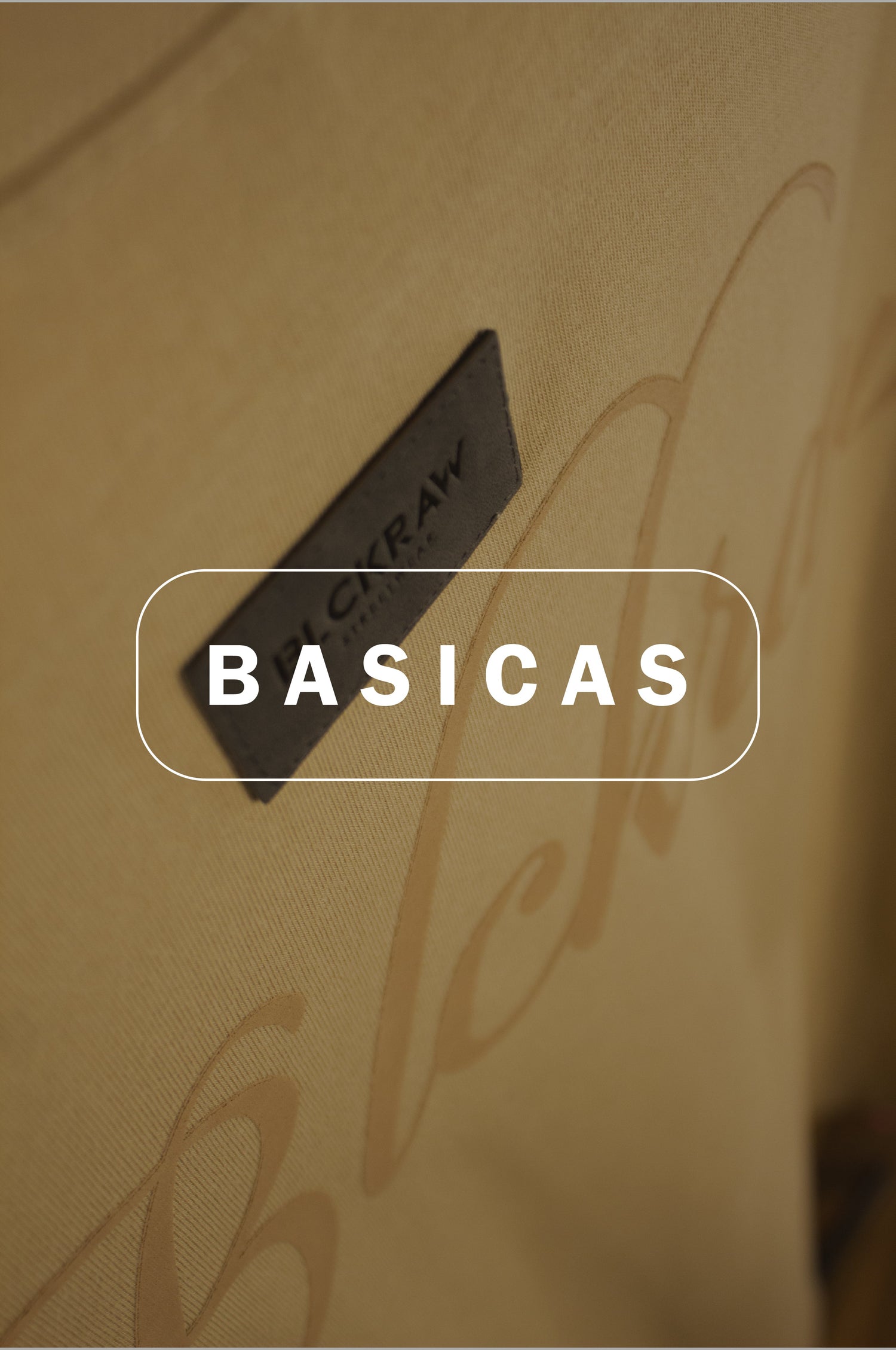 B A S I C A S